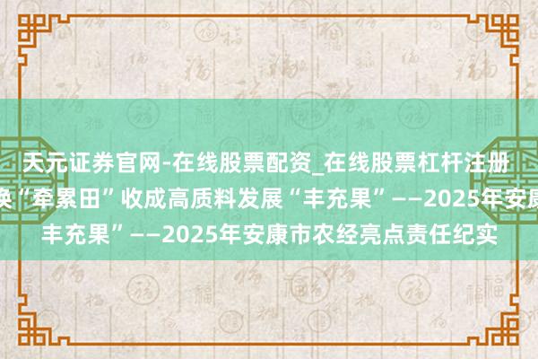 天元证券官网-在线股票配资_在线股票杠杆注册 【柔和】深耕农经改换“牵累田”收成高质料发展“丰充果”——2025年安康市农经亮点责任纪实