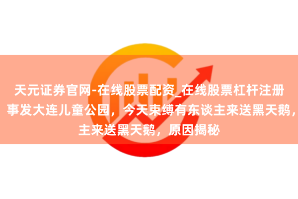 天元证券官网-在线股票配资_在线股票杠杆注册 一共4只！事发大连儿童公园，今天束缚有东谈主来送黑天鹅，原因揭秘