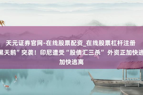 天元证券官网-在线股票配资_在线股票杠杆注册 “黑天鹅”突袭！印尼遭受“股债汇三杀” 外资正加快逃离
