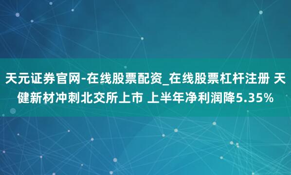 天元证券官网-在线股票配资_在线股票杠杆注册 天健新材冲刺北交所上市 上半年净利润降5.35%