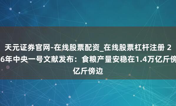 天元证券官网-在线股票配资_在线股票杠杆注册 2026年中央一号文献发布：食粮产量安稳在1.4万亿斤傍边