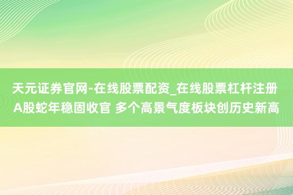 天元证券官网-在线股票配资_在线股票杠杆注册 A股蛇年稳固收官 多个高景气度板块创历史新高