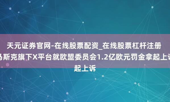 天元证券官网-在线股票配资_在线股票杠杆注册 马斯克旗下X平台就欧盟委员会1.2亿欧元罚金拿起上诉